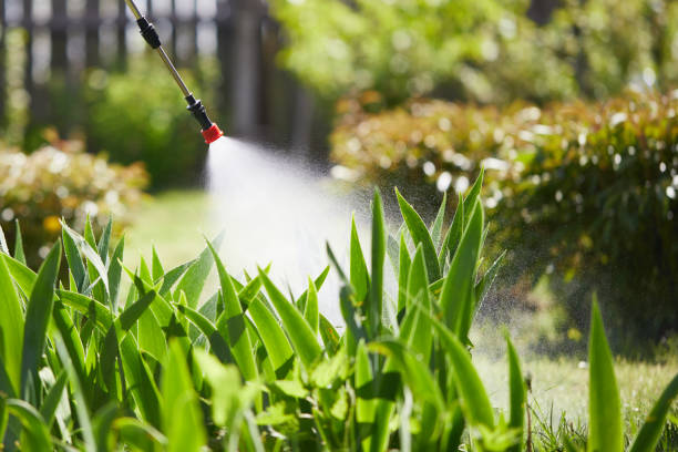 24/7 Emergency Fumigation Services experts in Nibley, UT