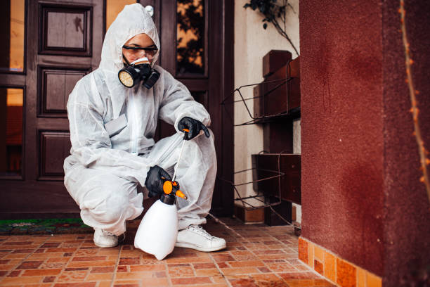 Reliable Fumigation Services contractor in Nibley, UT by Nex Pest Control