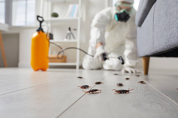 Trusted Cockroach Control service in Nibley, UT - Nex Pest Control